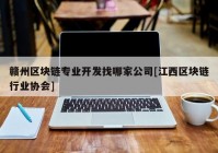 赣州区块链专业开发找哪家公司[江西区块链行业协会]