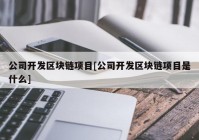 公司开发区块链项目[公司开发区块链项目是什么]